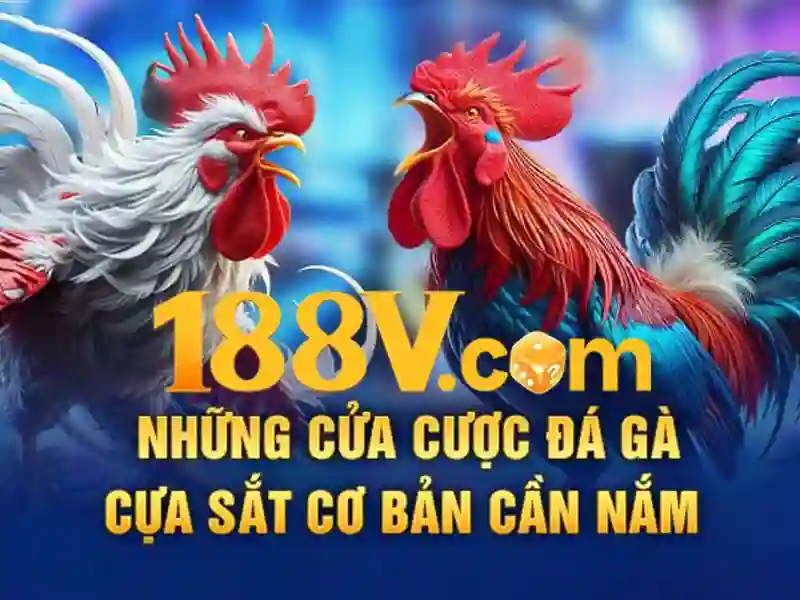 Tong quan ve 188v-com