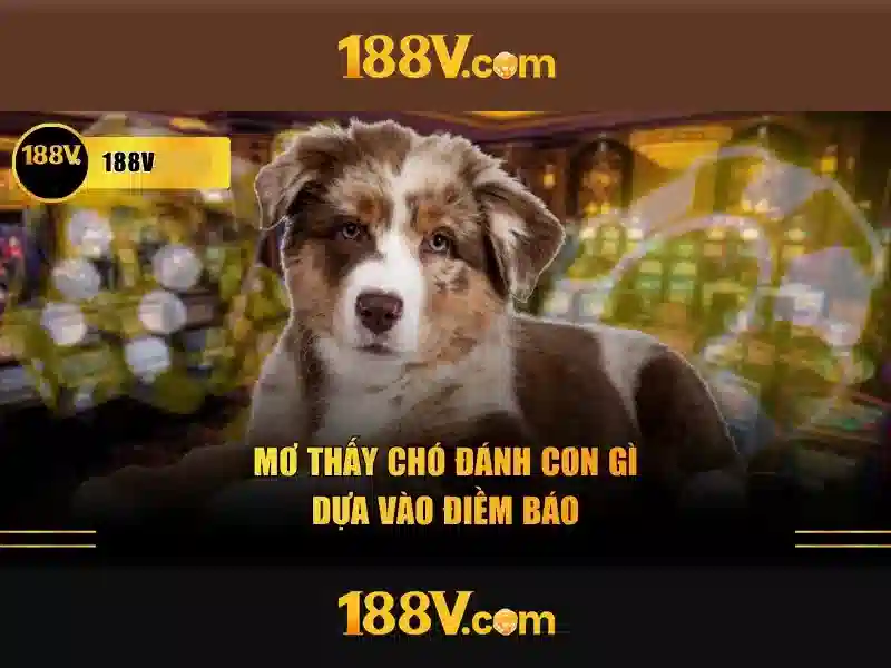 188v – Khám phá một con số và ý nghĩa của nó