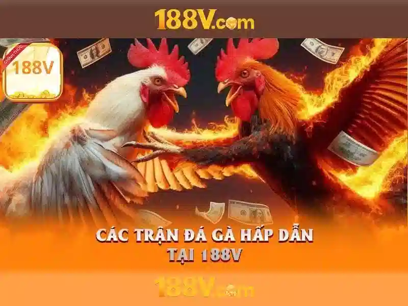 188v có lừa đảo không: Đánh giá tổng thể và hướng dẫn an toàn Giao diện nhà cái hoàn hảo