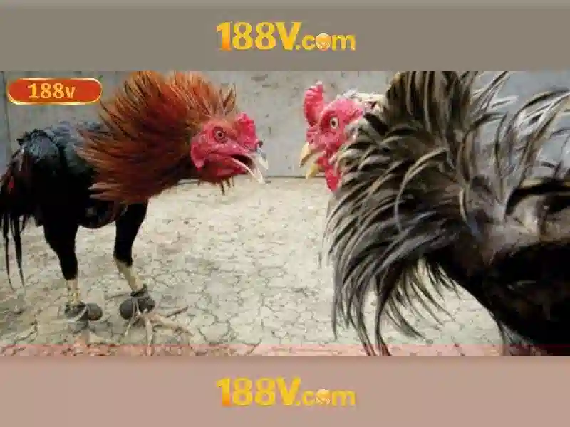 188V: Hiểu biết về điện áp 188V và ứng dụng