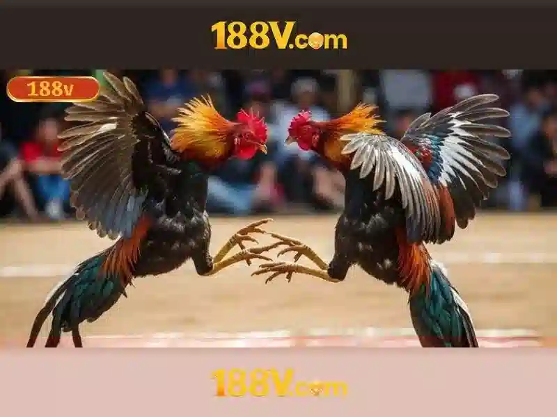 188v trang chủ – trải nghiệm đỉnh cao và hệ sinh thái