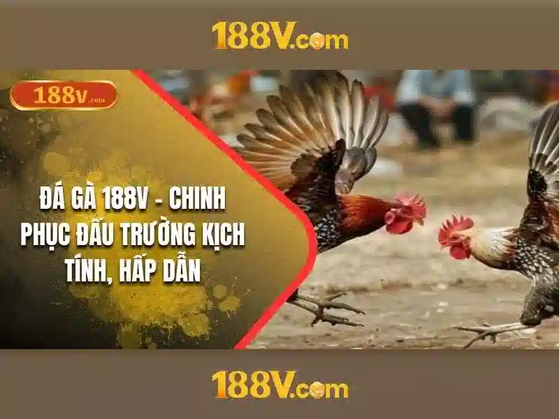 Khám phá 188V: một khái niệm mang động lực và ý nghĩa