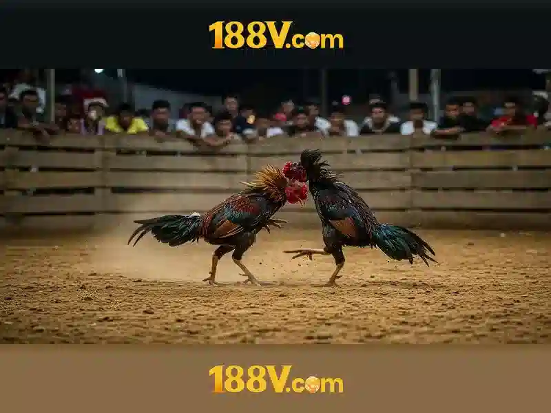 Giao diện nhà cái hoàn hảo