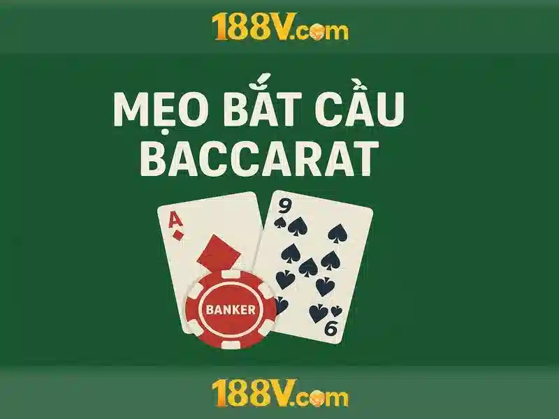 Khía cạnh kỹ thuật và tương lai\n\n