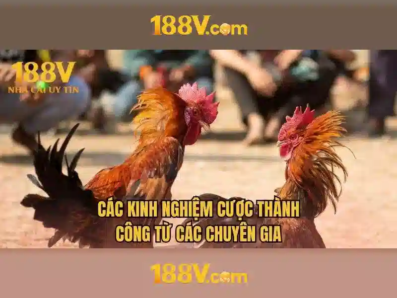 188v: một ký hiệu của công nghệ và thời đại số