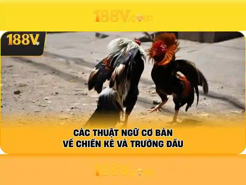 188v là gì – Khái niệm, ứng dụng và trải nghiệm