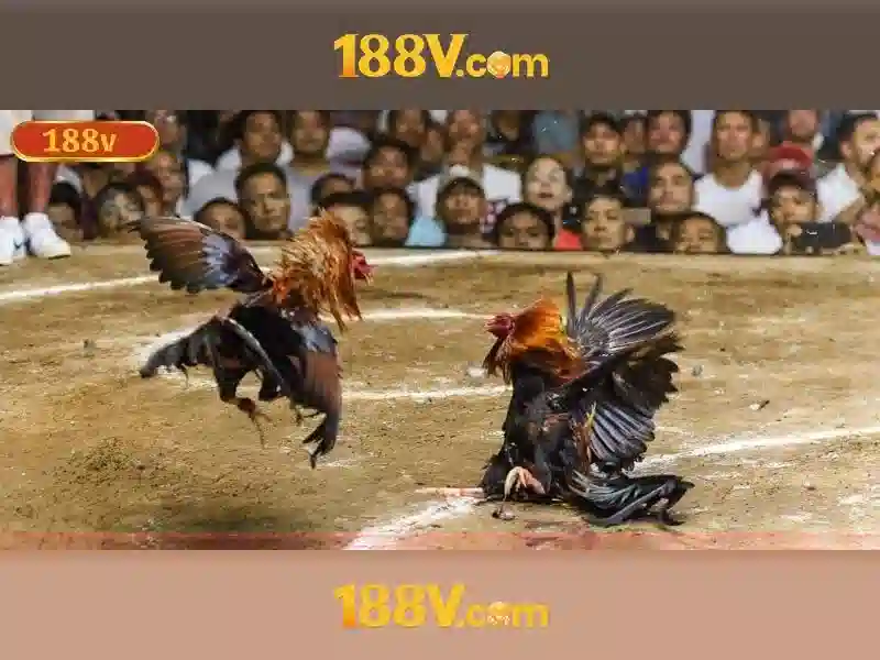 188V: Điện áp và tương lai của công nghệ năng lượng Giao diện nhà cái hoàn hảo