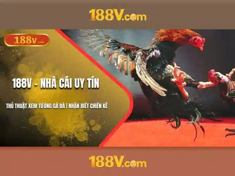 188v – một khái niệm số trong thế giới số
