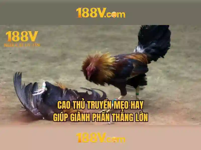 Ứng dụng phổ biến của 188V\n