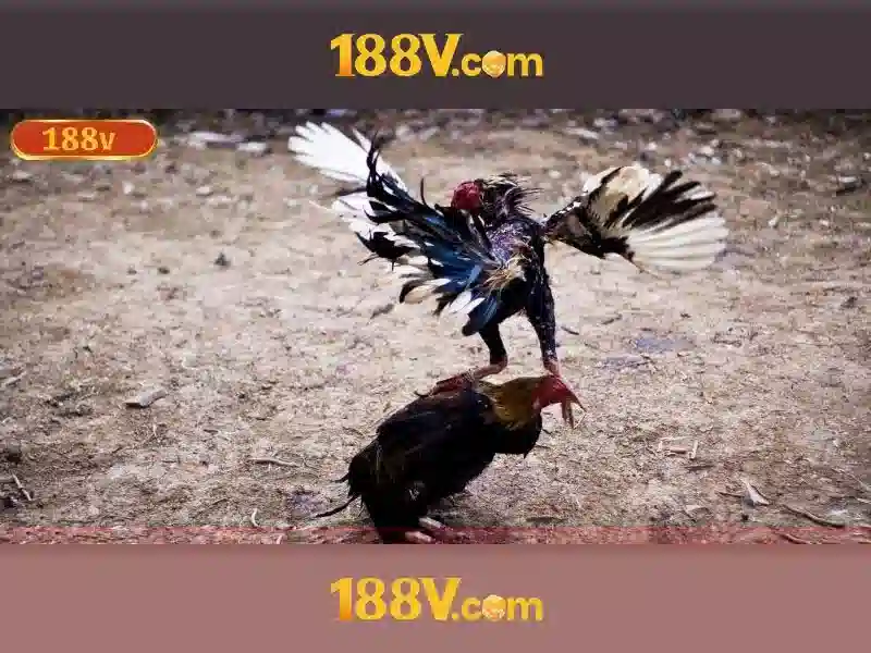 188v com – Tổng quan chủ đề và giá trị cốt lõi