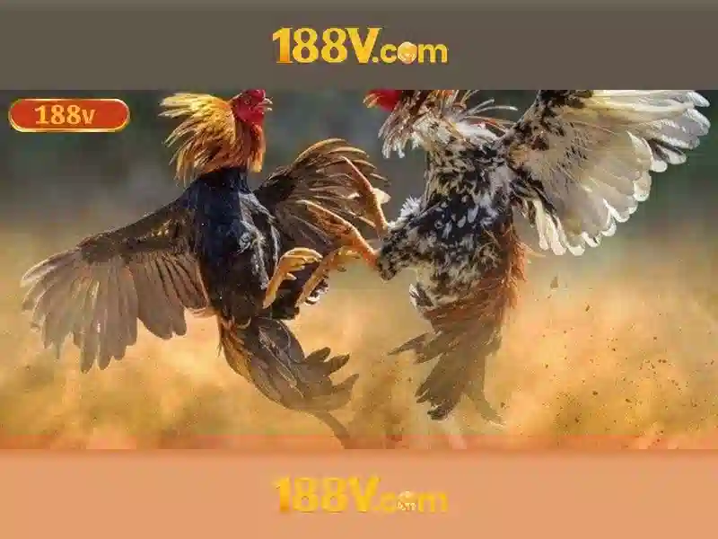 Uu the va canh tranh cua 188v la gi