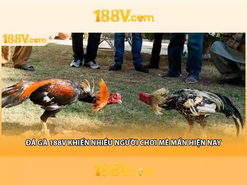 188V: Hiểu về điện áp 188 V và an toàn điện Giao diện nhà cái hoàn hảo