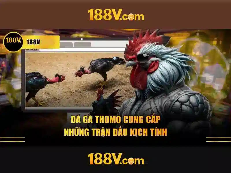 hỗ trợ 188v – Tổng quan chủ đề và giá trị cốt lõi