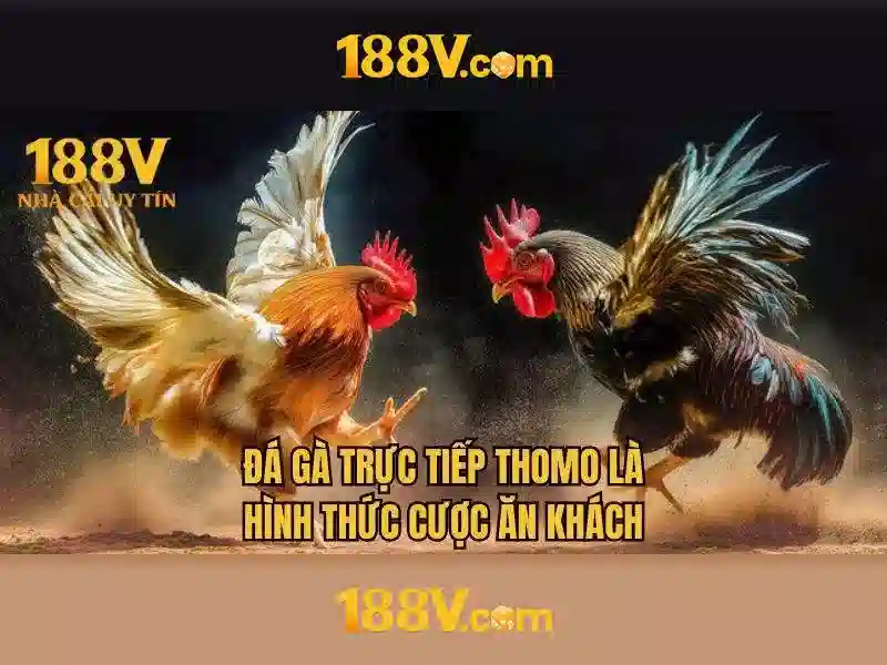 Kết luận và hướng tới tương lai