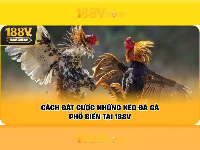 Giao diện nhà cái hoàn hảo