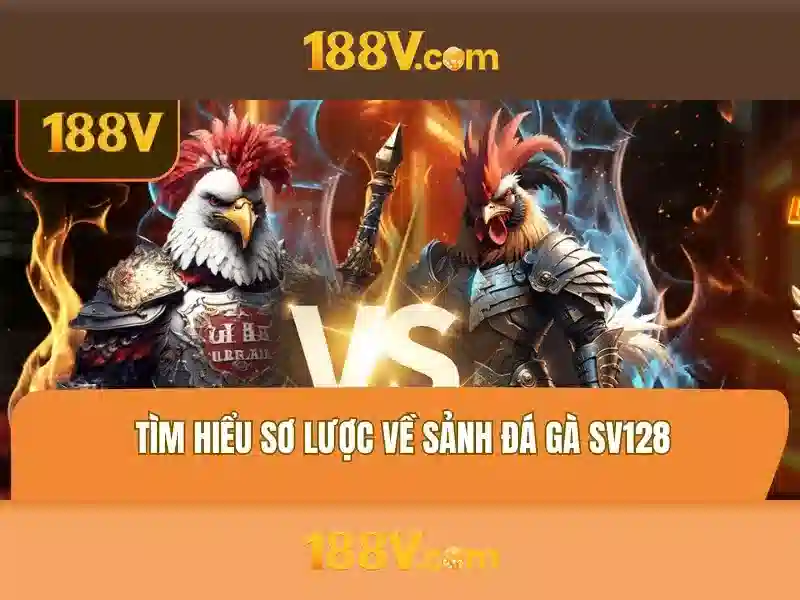 Ứng dụng hiện tại và tương lai