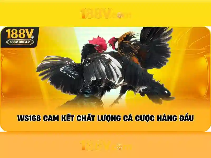 188v là gì