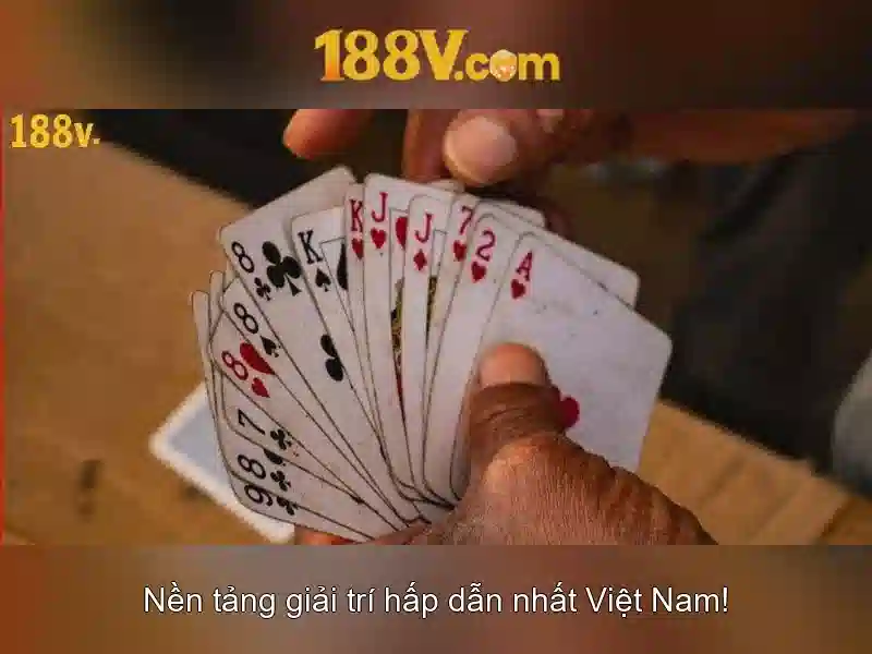 Con đường lịch sử và văn hóa