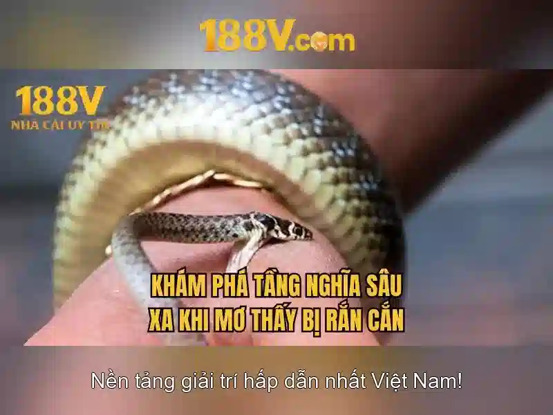 Khám phá 188v: một khởi nguồn của ánh sáng