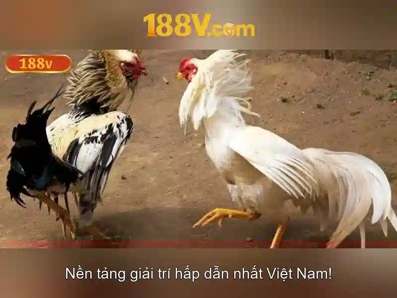 188v: một khái niệm độc đáo trong thế giới số Giao diện nhà cái hoàn hảo