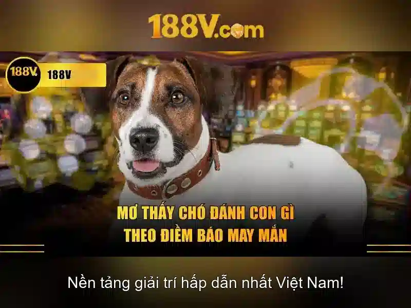 Hiểu biết căn bản về 188V trong hệ thống điện