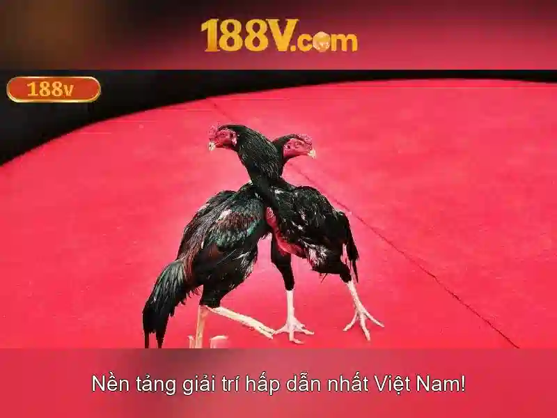 Ứng dụng và an toàn