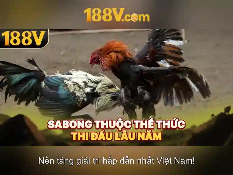 Khái niệm 188v và vai trò của nó trong thế giới số