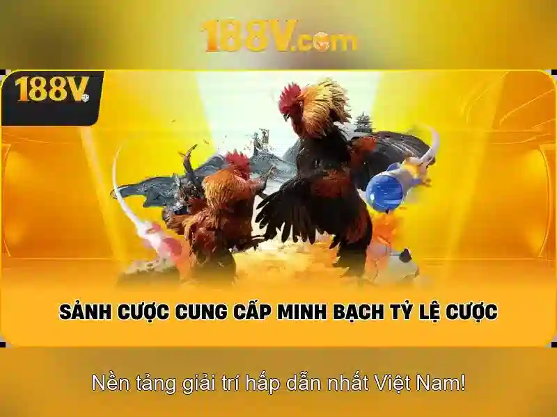 Lời kết và nguồn cảm hứng