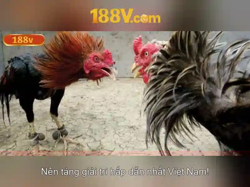 Khám phá 188V
