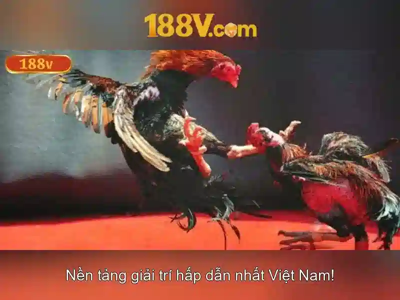 Khởi nguồn của 188v