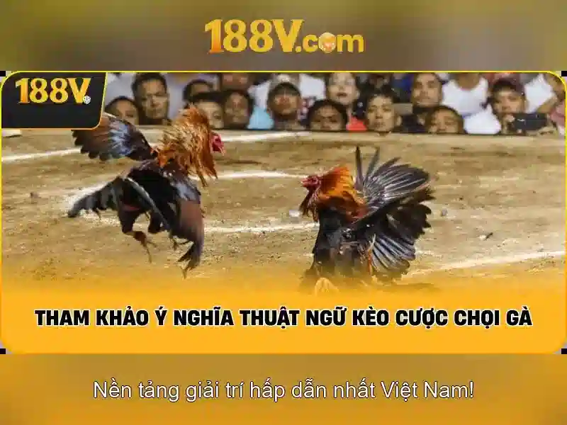 Nguồn gốc và tiêu chuẩn\n\n