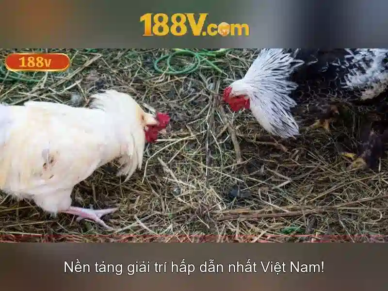 Giải thích 188V