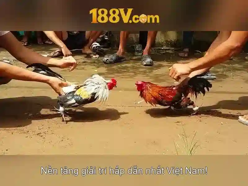 Hiệu suất và an toàn khi làm việc với 188V