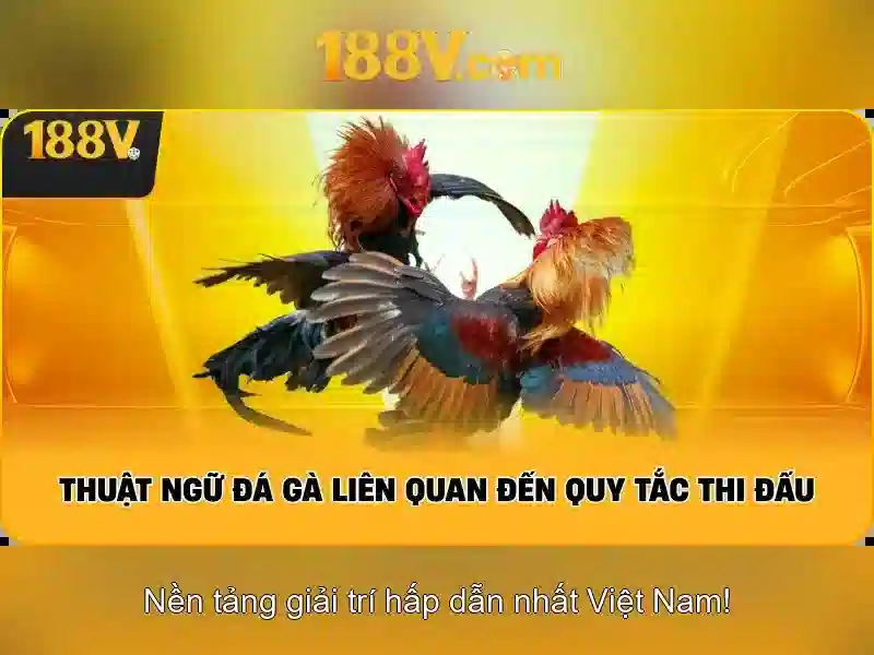 Khám phá 188v: một khía cạnh của công nghệ và thiết kế Giao diện nhà cái hoàn hảo