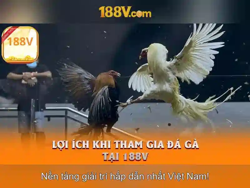 Nguồn gốc từ ngữ và sứ mệnh\n