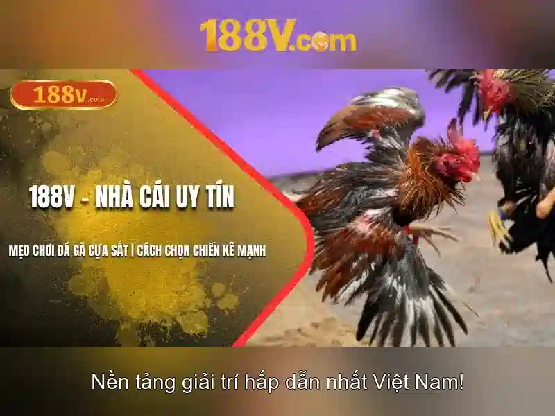 Tương lai của 188V