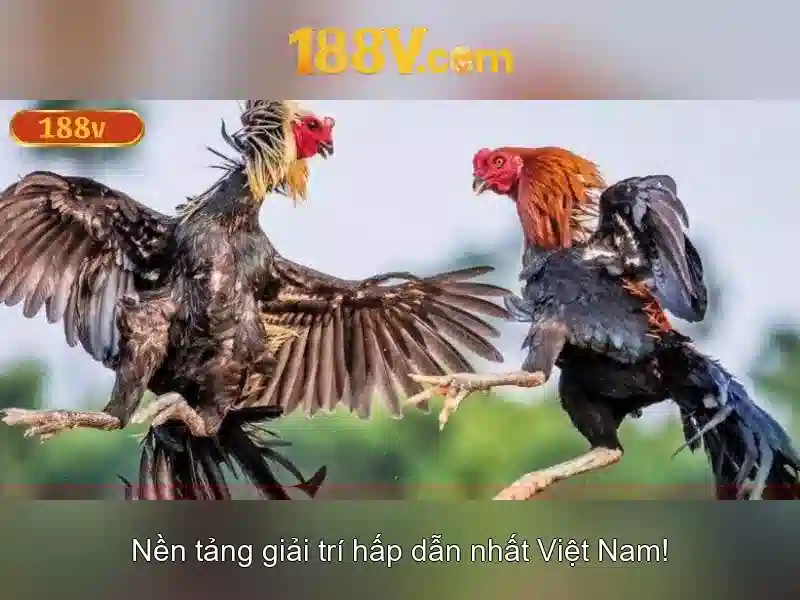 Ý nghĩa biểu tượng của số 188 và chữ V