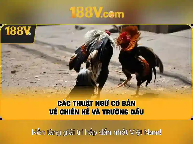Đại cương về 188v