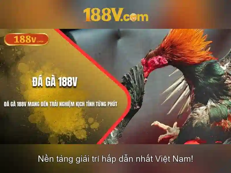 Giao diện nhà cái hoàn hảo