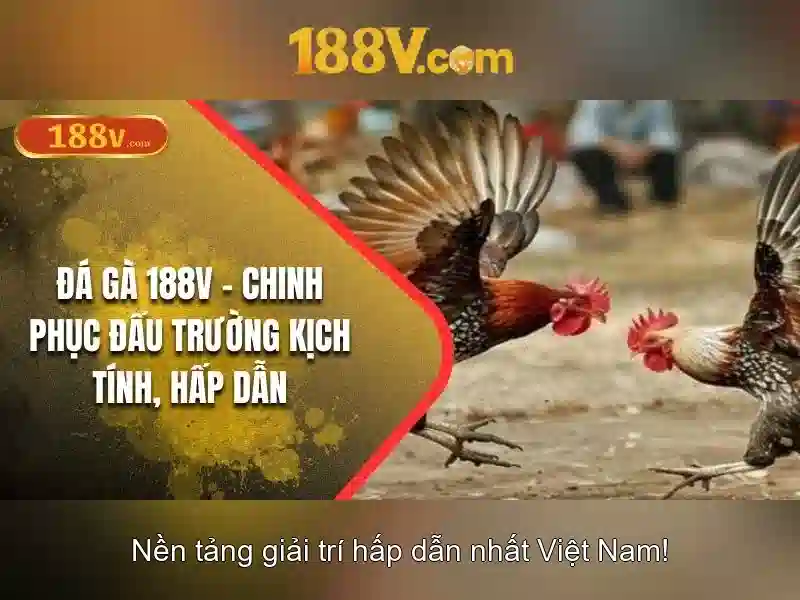 188V: Những điều cần biết về công nghệ năng lượng tương lai