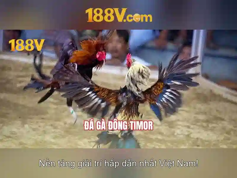 Khởi đầu của 188v\n