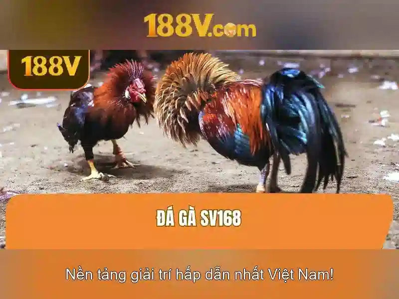 Khám phá 188V và ý nghĩa của điện áp cao Giao diện nhà cái hoàn hảo