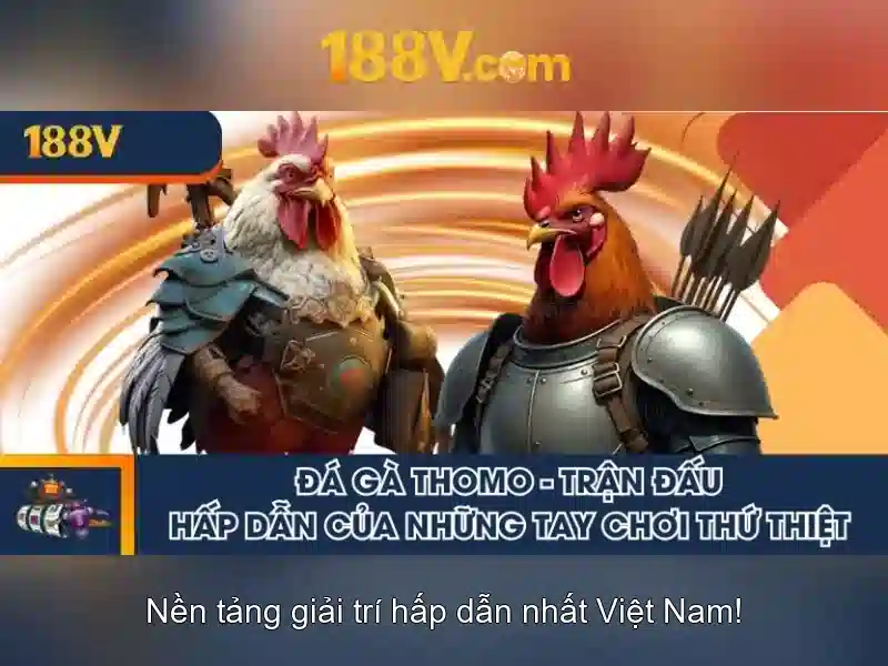 Kết luận và tương lai