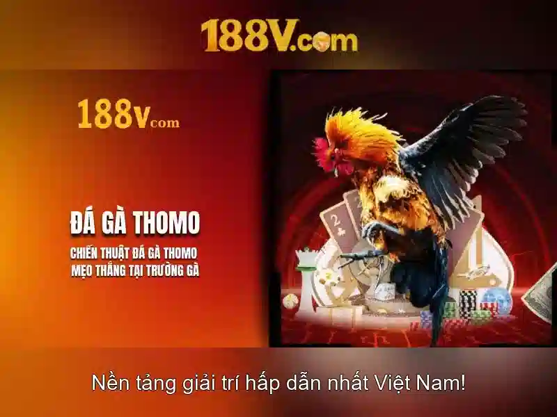 Giao diện nhà cái hoàn hảo