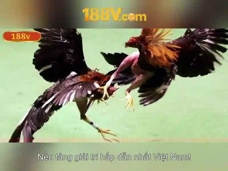 Khái niệm 188V và vai trò của điện áp trong đời sống