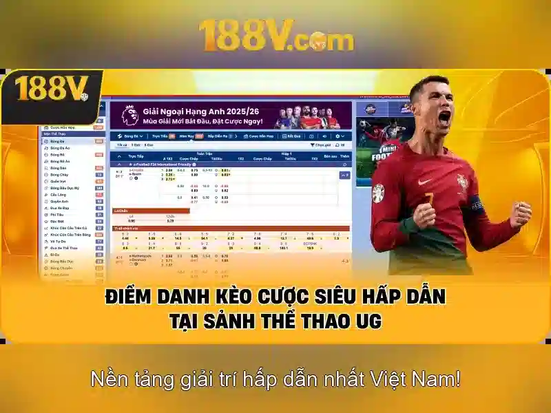 Ảnh hưởng xã hội và thách thức
