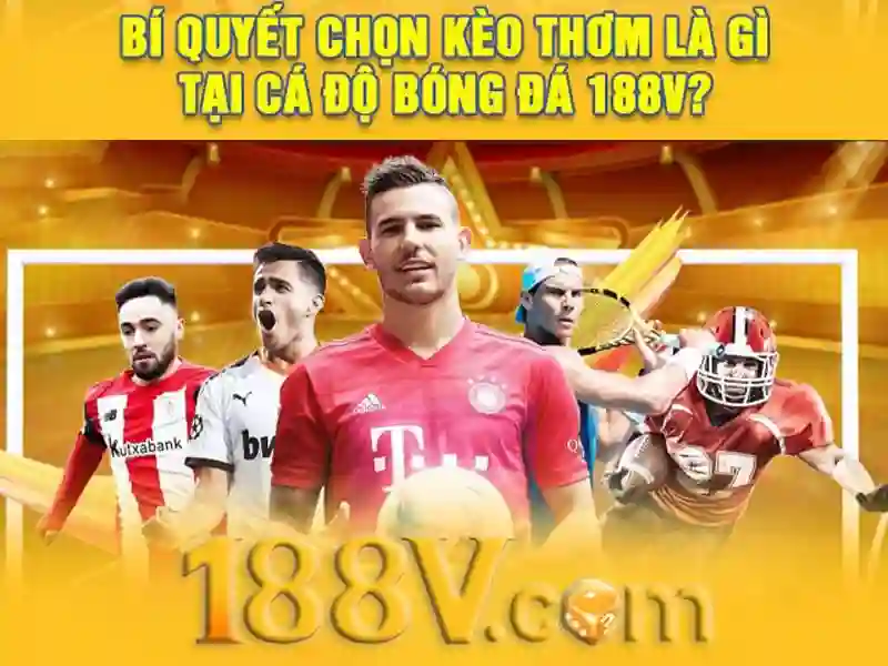 Kết luận về một hành trình sự sống điện