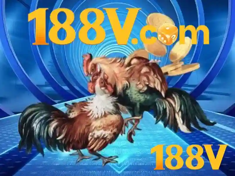 Giao diện nhà cái hoàn hảo