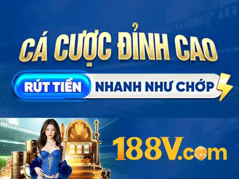 Trải nghiệm người dùng và phản hồi cộng đồng